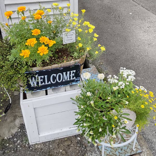 富士市かわいいケーキ屋さんテテの店頭のお花