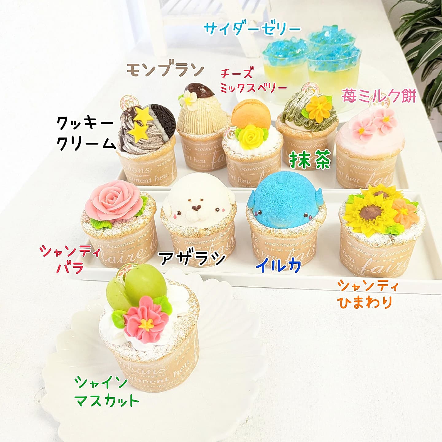 富士市かわいいケーキのお店テテただいまのラインナップ
