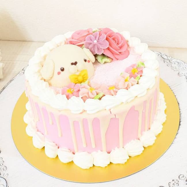 富士市かわいいケーキ屋さんテテのホールケーキ・アニマルカラーケーキ