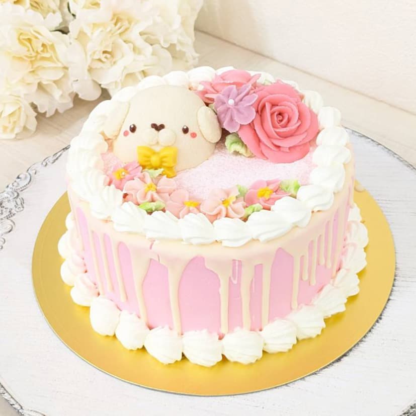 富士市かわいいケーキ屋さんテテのホールケーキ・アニマルカラーケーキ