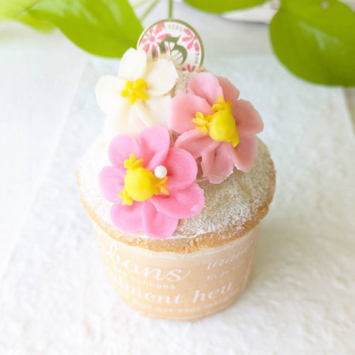 富士市かわいいケーキ屋さんテテ(tete)のコスモスモンブラン