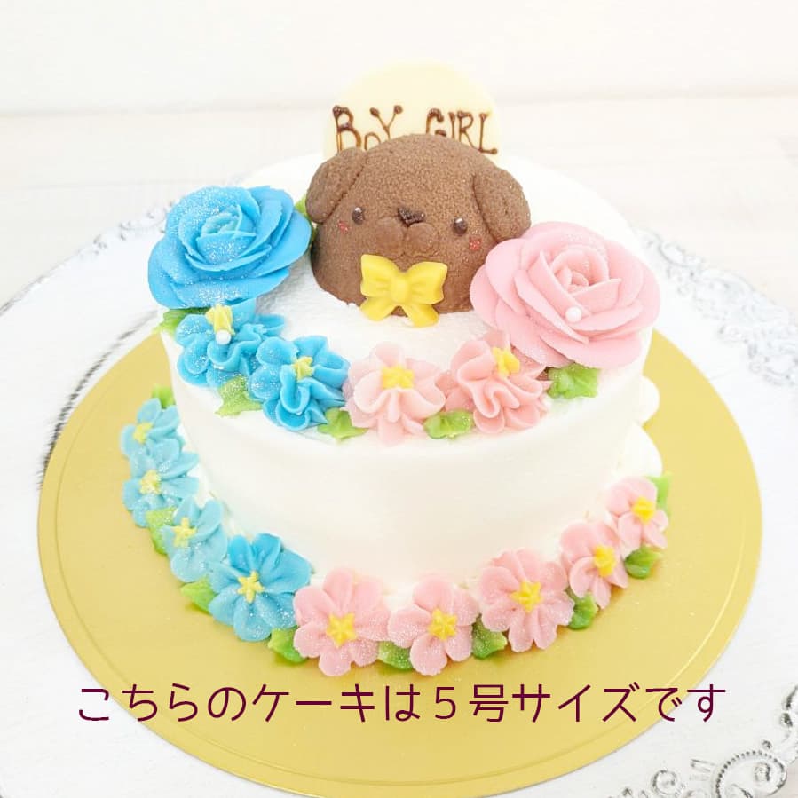 富士市かわいいケーキ屋テテのジェンダーリビールケーキ